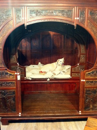 Dana schläft im Chinabett